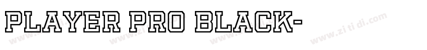 Player Pro Black字体转换